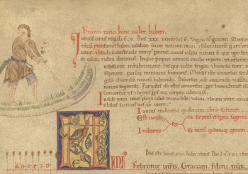 Immagini del mondo rurale medievale dal Libro del Maestro della Biblioteca Capitolare di Piacenza