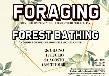 Foraging e Forest Bathing