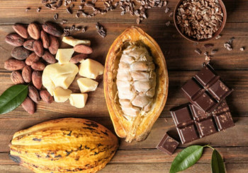 Dal Cacao al Cioccolato