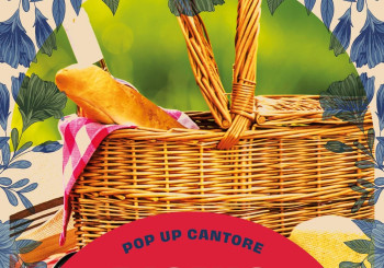 Picnic - Pop Up Cantore