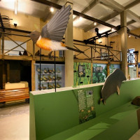 Museo di Storia Naturale