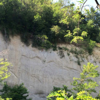 Riserva geologica del Piacenziano - foto Cristian Brusamonti