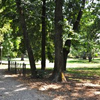 Parco - foto di Filippo Adolfini e Renzo Marchionni