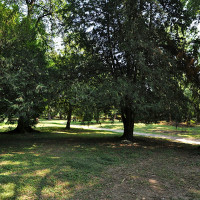 Parco - foto di Filippo Adolfini e Renzo Marchionni
